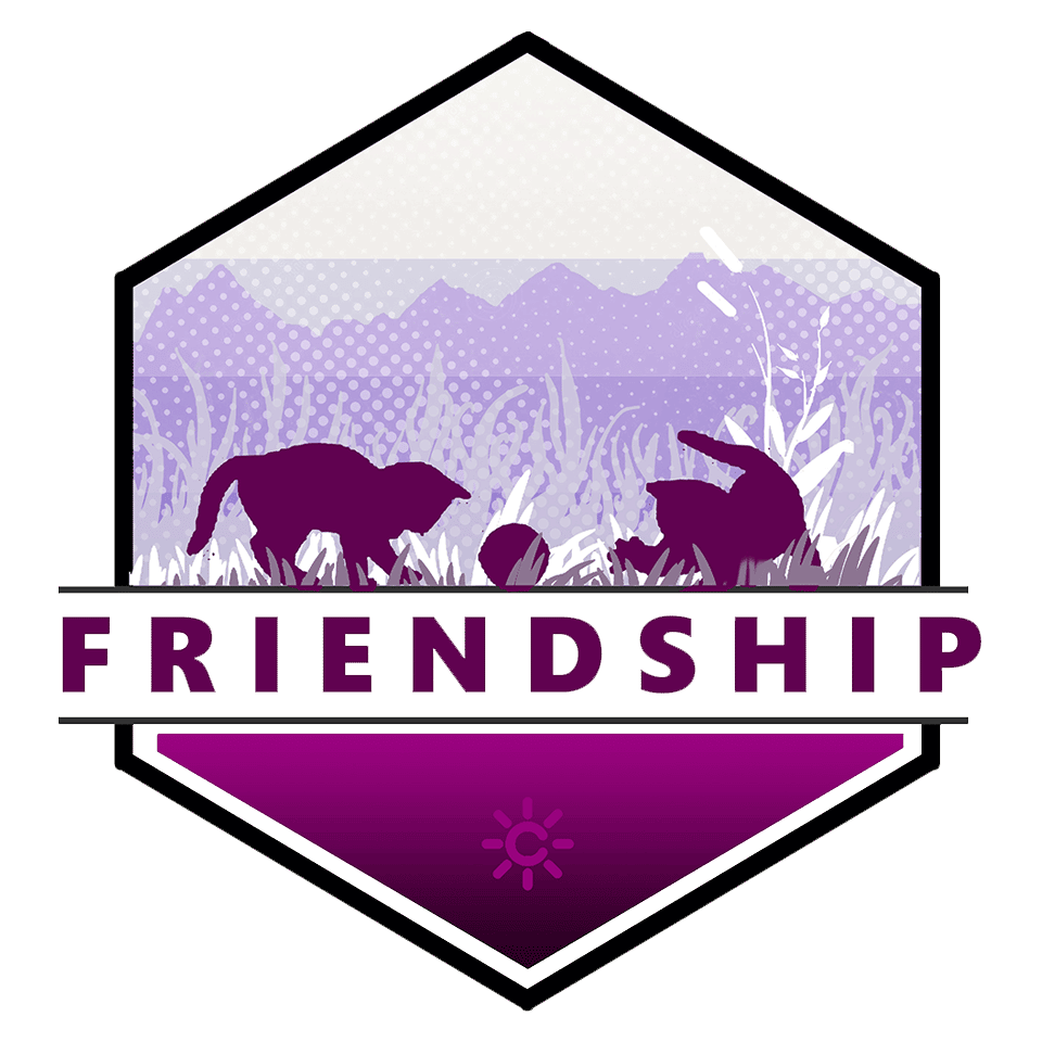 Friendship T