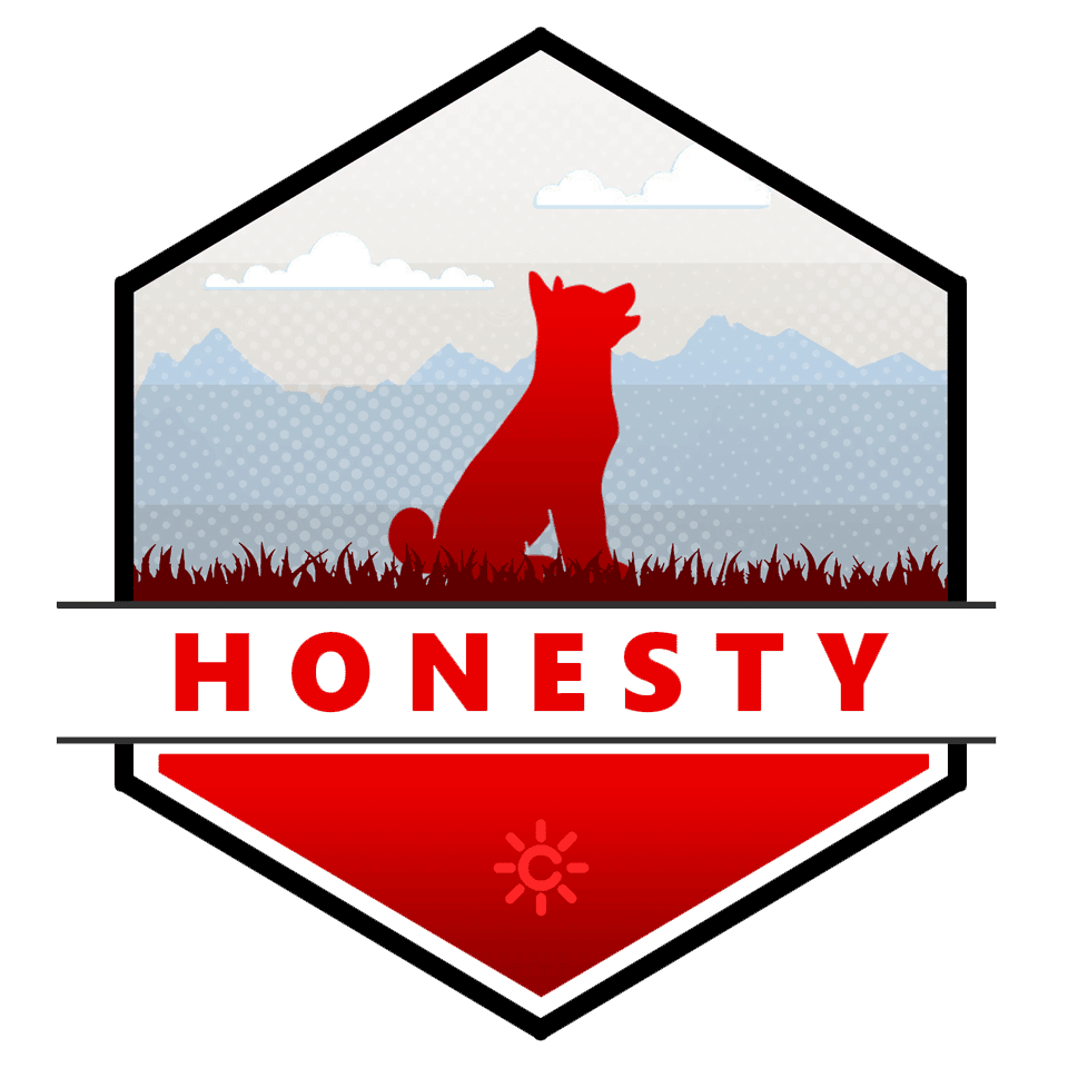 Honesty T