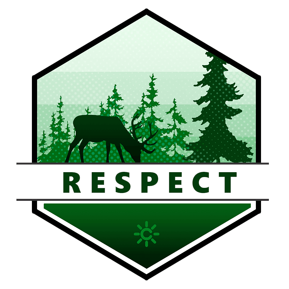 Respect T