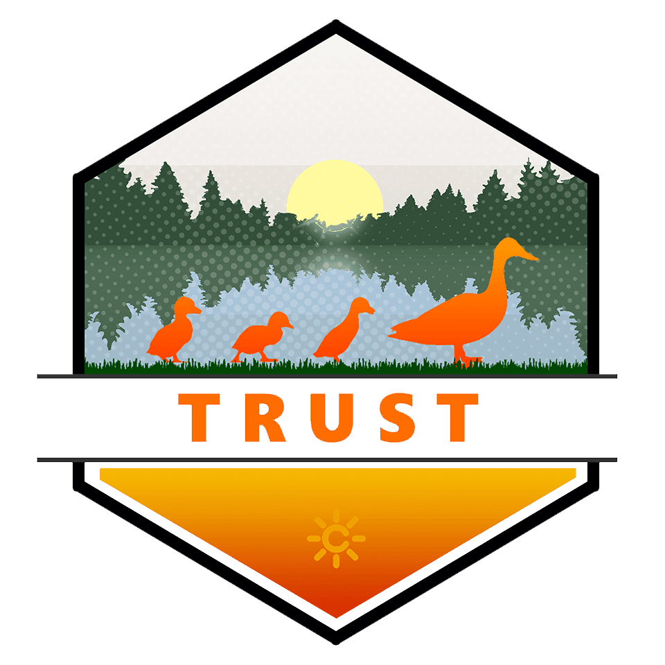 Trust T